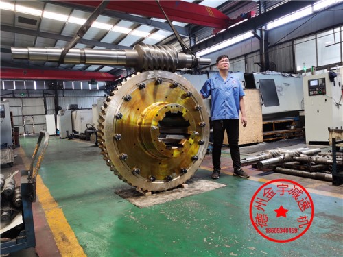 A910平面二次包絡(luò)蝸輪副